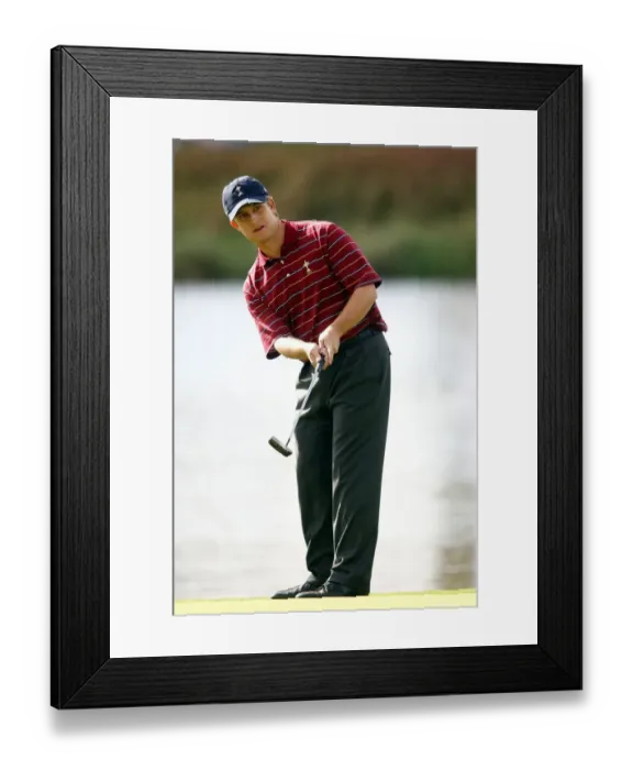 Framed Print : David Toms Framed Print : David Toms