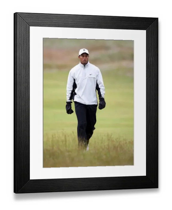 Framed Print : Tiger Woods Wearing His Mittens Framed Print : Tiger Woods Wearing His Mittens