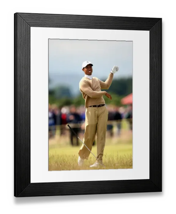 Framed Print : Tiger Woods Framed Print : Tiger Woods