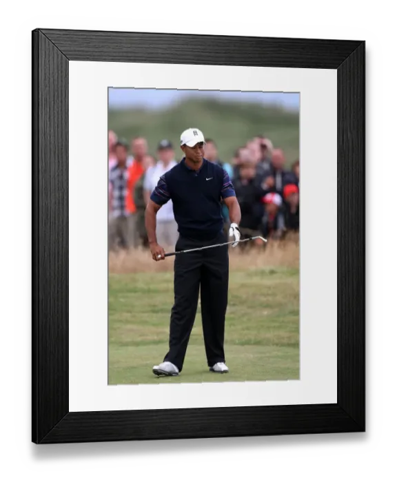 Framed Print : Tiger Woods Framed Print : Tiger Woods