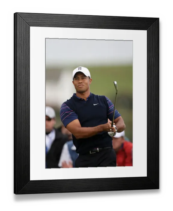 Framed Print : Tiger Woods Framed Print : Tiger Woods