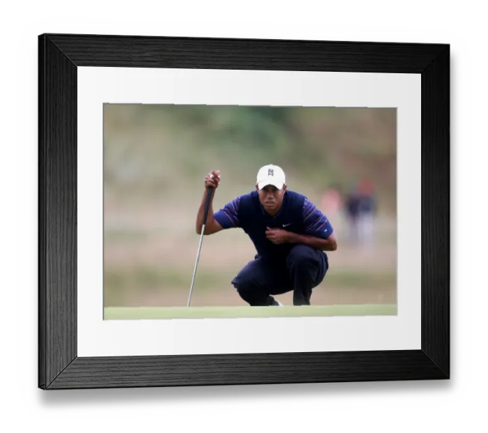 Framed Print : Tiger Woods Lines Up Putt Framed Print : Tiger Woods Lines Up Putt
