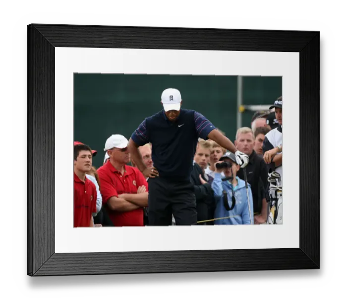 Framed Print : Tiger Woods After Hitting Poor Shot Framed Print : Tiger Woods After Hitting Poor Shot