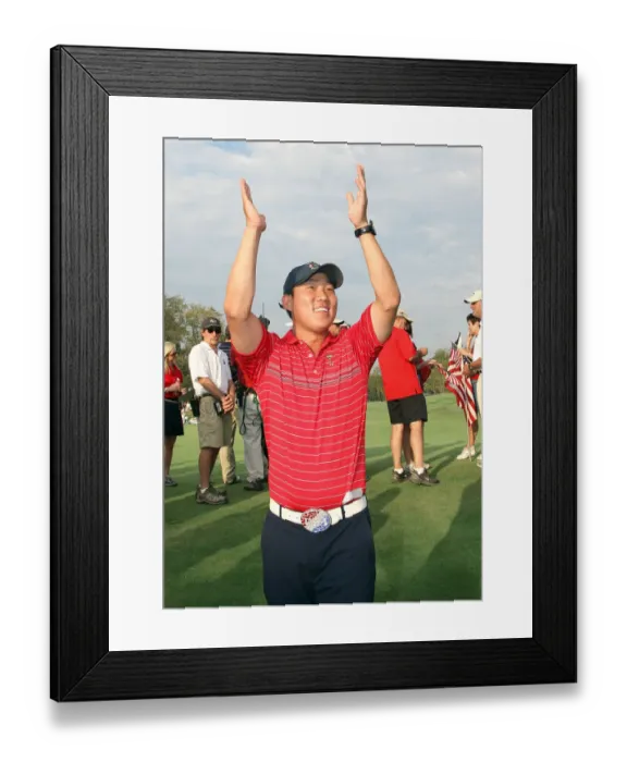Framed Print : Anthony Kim Framed Print : Anthony Kim