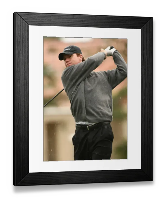 Framed Print : Briny Baird Framed Print : Briny Baird