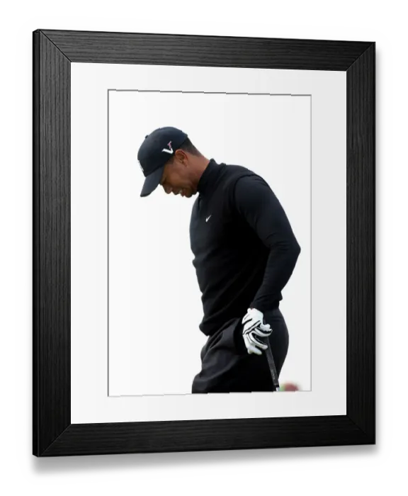 Framed Print : Tiger Woods Feels The Presure Framed Print : Tiger Woods Feels The Presure