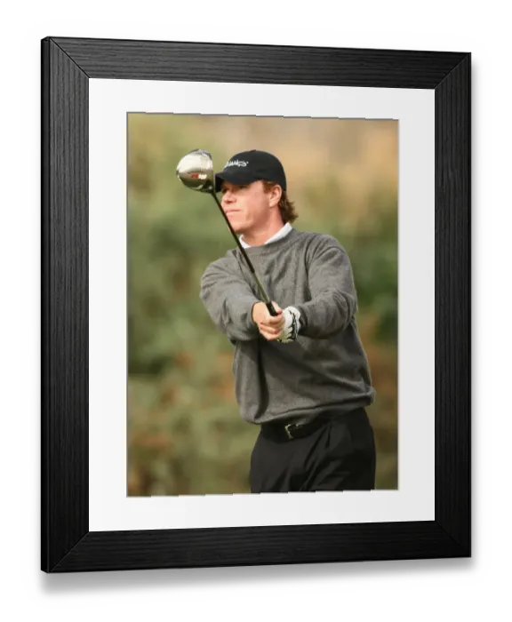 Framed Print : Briny Baird Framed Print : Briny Baird