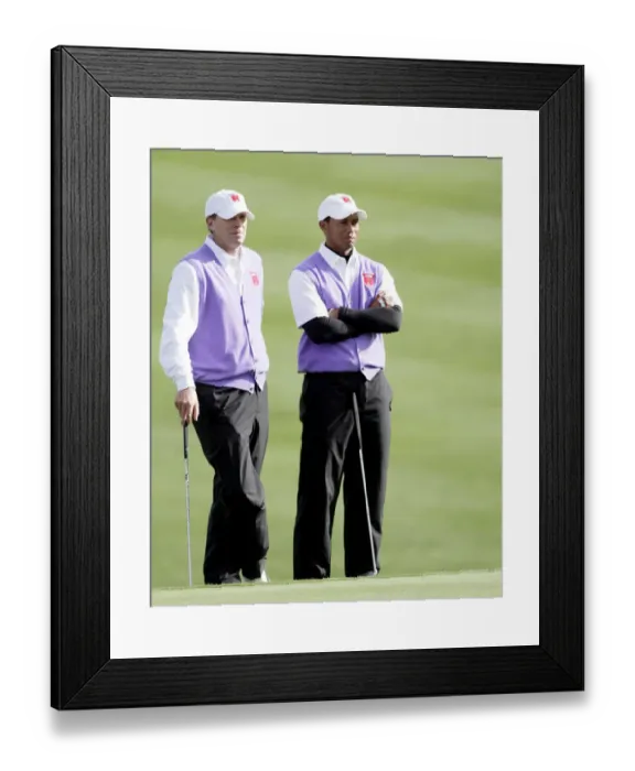 Framed Print : Steve Stricker & Tiger Woods Framed Print : Steve Stricker & Tiger Woods