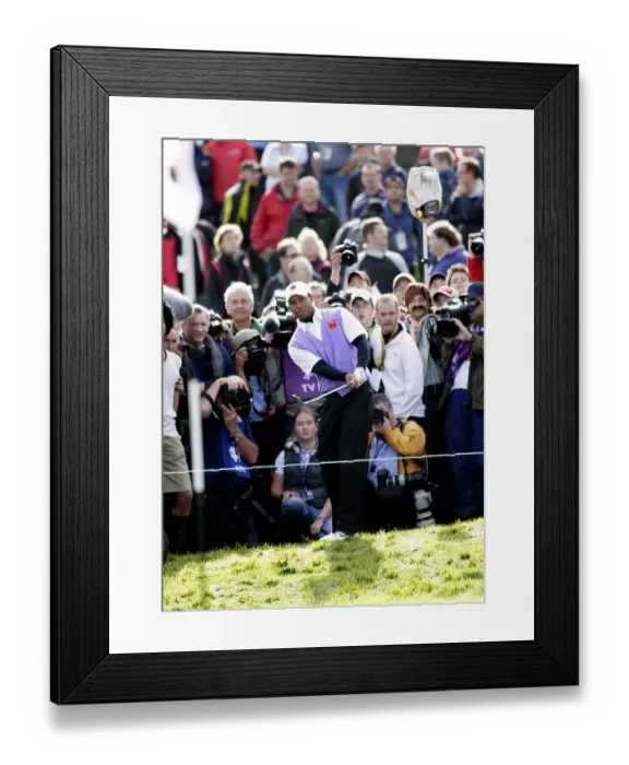 Framed Print : Tiger Woods On The 18th Framed Print : Tiger Woods On The 18th