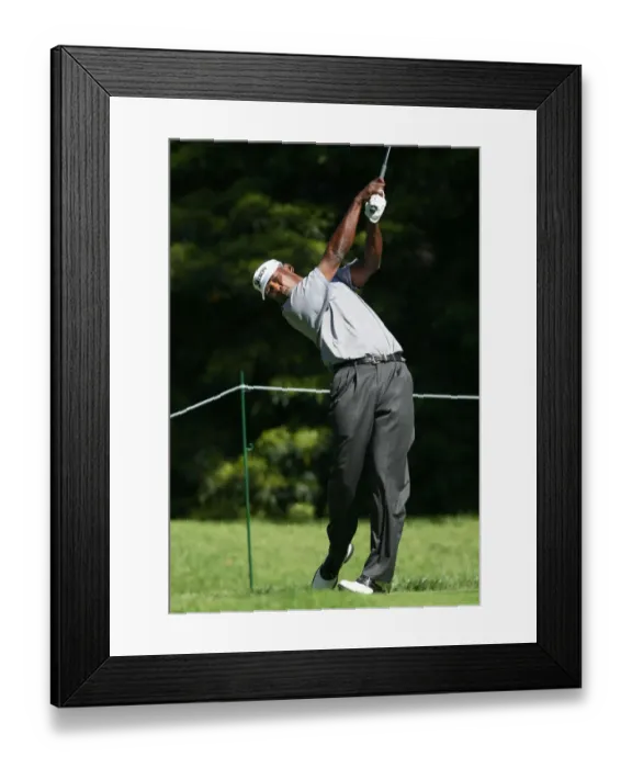 Framed Print : Vijay Singh Framed Print : Vijay Singh