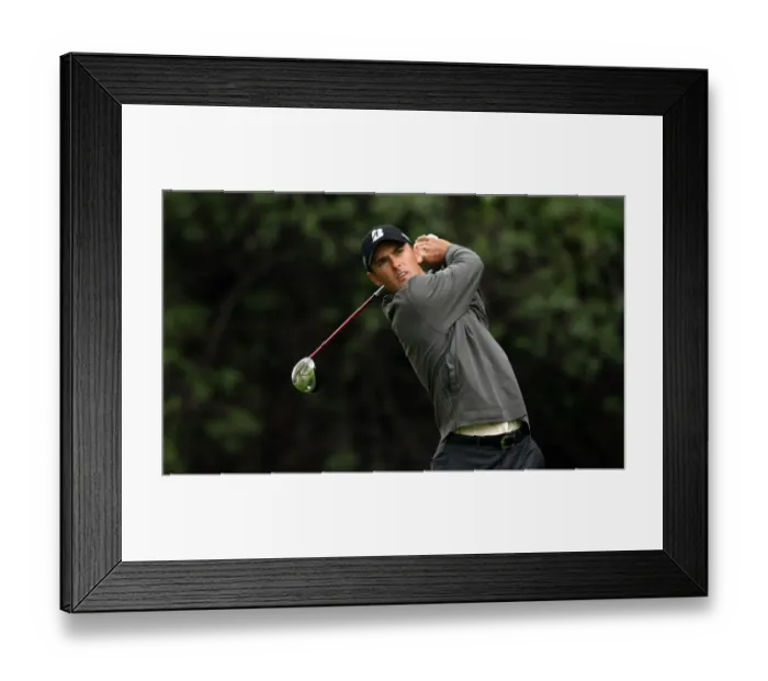 Framed Print : Briny Baird Framed Print : Briny Baird
