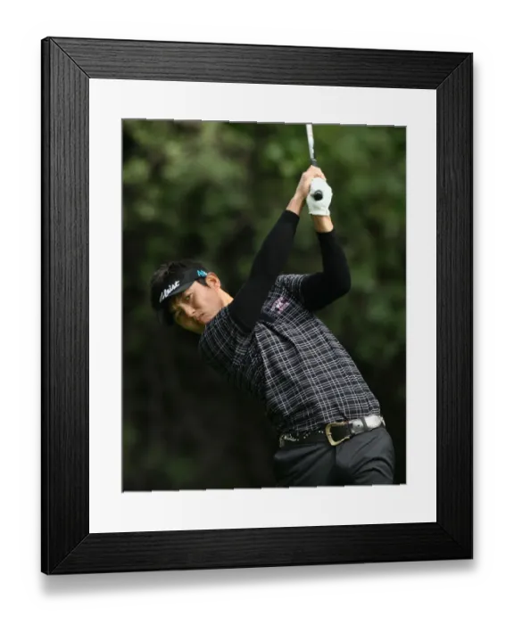 Framed Print : Ryuji Imada