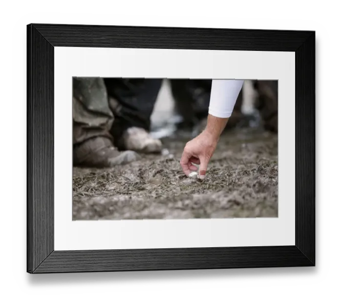 Framed Print : Steve Stricker Removes Ball From Mud After Tiger Woods Waywa Framed Print : Steve Stricker Removes Ball From Mud After Tiger Woods Waywa