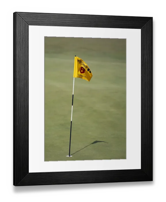 Framed Print : 8th Hole Flagstick Framed Print : 8th Hole Flagstick