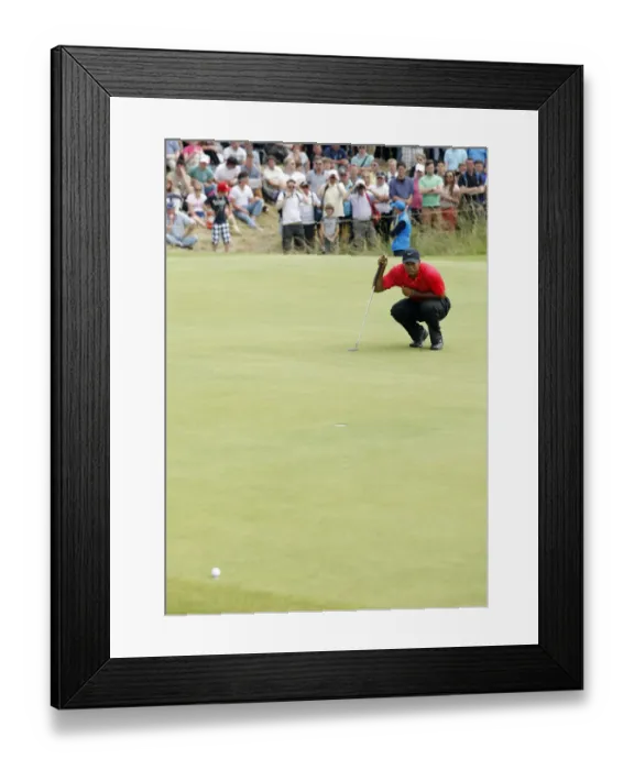 Framed Print : Tiger Woods Framed Print : Tiger Woods