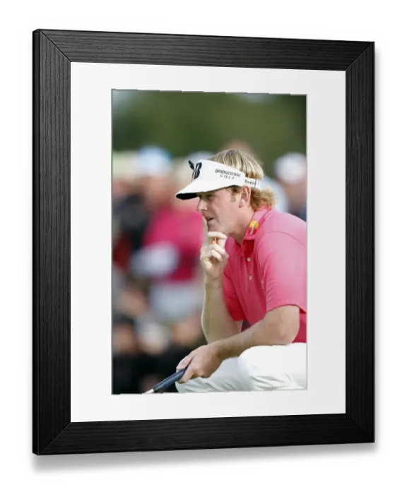 Framed Print : Brandt Snedeker Framed Print : Brandt Snedeker