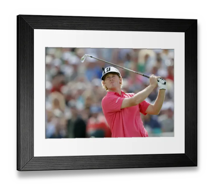 Framed Print : Brandt Snedeker Framed Print : Brandt Snedeker