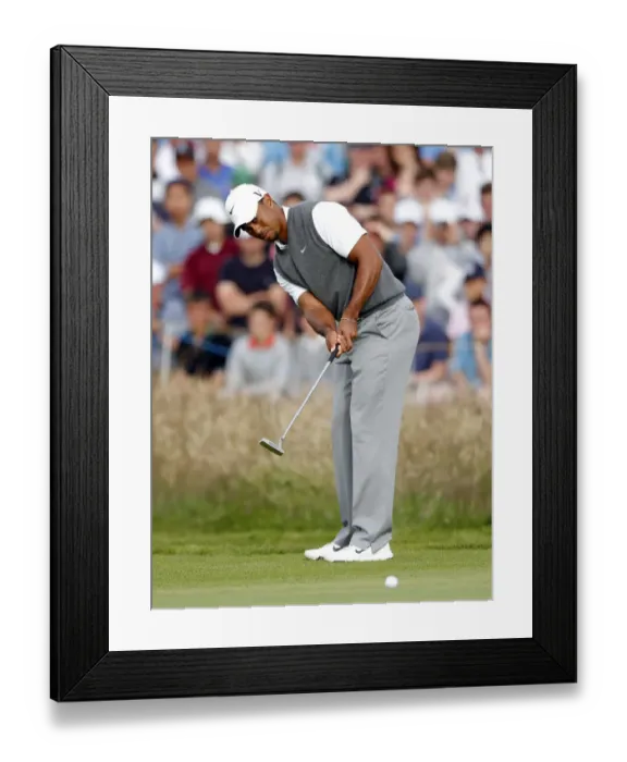 Framed Print : Tiger Woods Framed Print : Tiger Woods