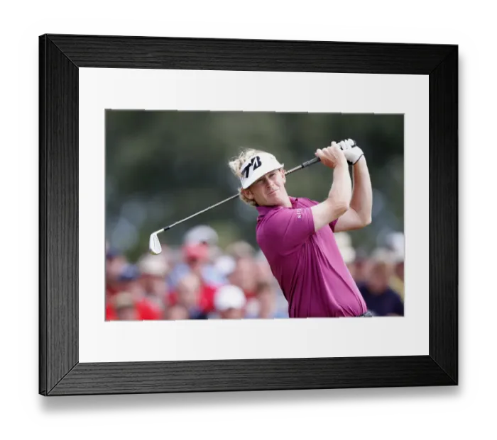 Framed Print : Brandt Snedeker Framed Print : Brandt Snedeker
