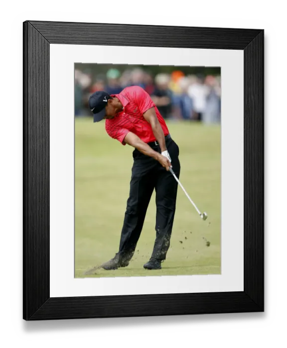 Framed Print : Tiger Woods Framed Print : Tiger Woods