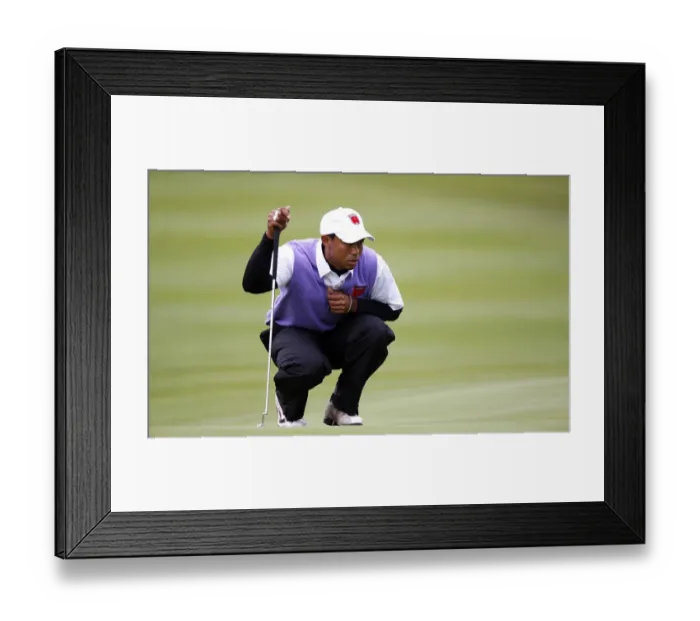 Framed Print : Tiger Woods Framed Print : Tiger Woods