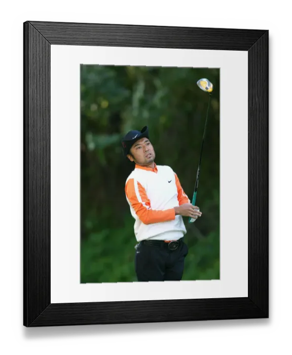 Framed Print : Shingo Katayama Framed Print : Shingo Katayama