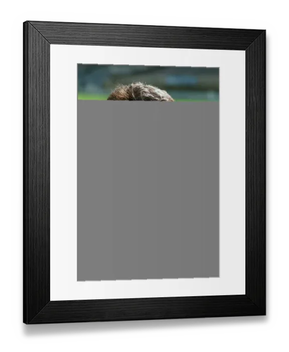 Framed Print : Andy Moles