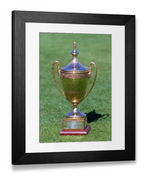 Framed Print : Benson & Hedges Cup Framed Print : Benson & Hedges Cup