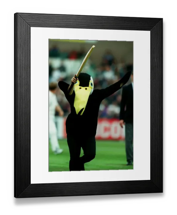 Framed Print : Penguin Pitch Invader Framed Print : Penguin Pitch Invader