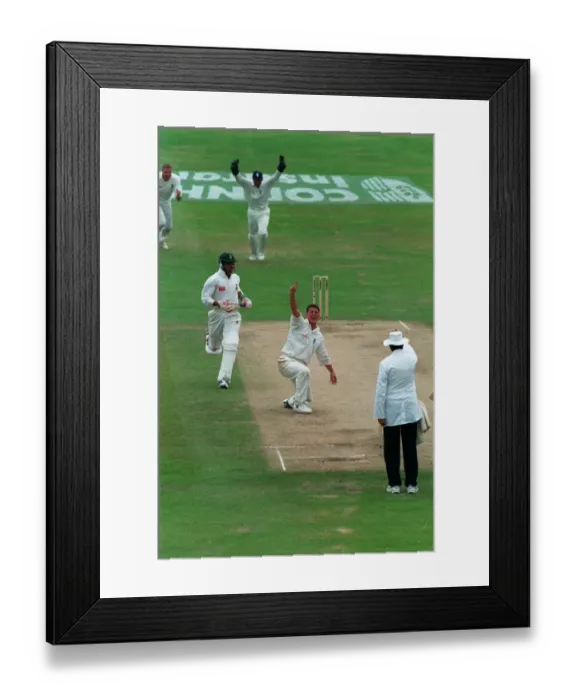 Framed Print : Gough Gets Ntini Lbw Framed Print : Gough Gets Ntini Lbw
