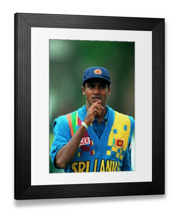 Framed Print : Suresh Perera Framed Print : Suresh Perera
