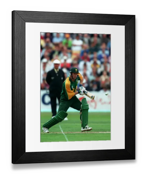 Framed Print : Jonty Rhodes Framed Print : Jonty Rhodes