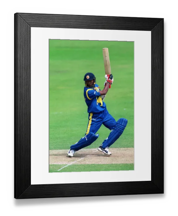 Framed Print : Upul Chandana Framed Print : Upul Chandana