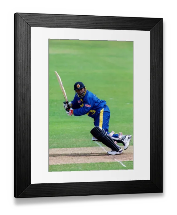 Framed Print : Aravinda De Silva Framed Print : Aravinda De Silva