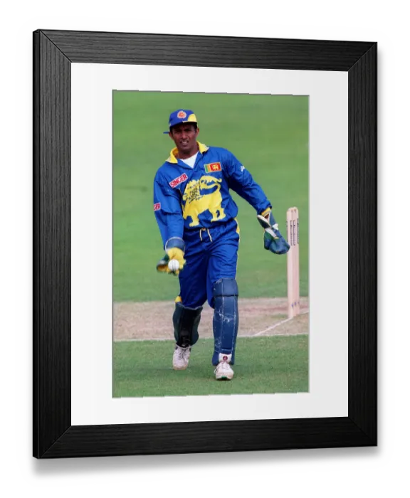 Framed Print : Hashan Tillekeratne Framed Print : Hashan Tillekeratne