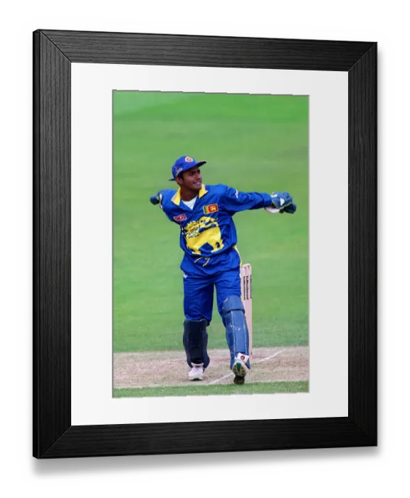 Framed Print : Hashan Tillekeratne Framed Print : Hashan Tillekeratne