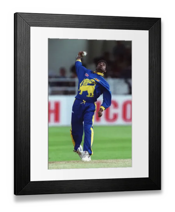 Framed Print : Muttiah Muralitharan Framed Print : Muttiah Muralitharan