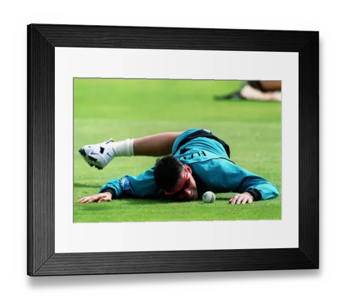 Framed Print : Stephen Fleming Framed Print : Stephen Fleming