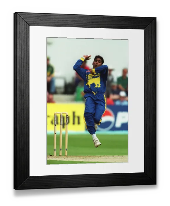 Framed Print : Mahela Jayawardena Framed Print : Mahela Jayawardena