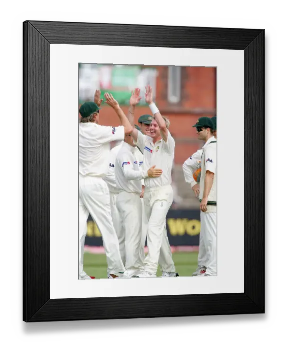 Framed Print : Brett Lee & Team Celebrate