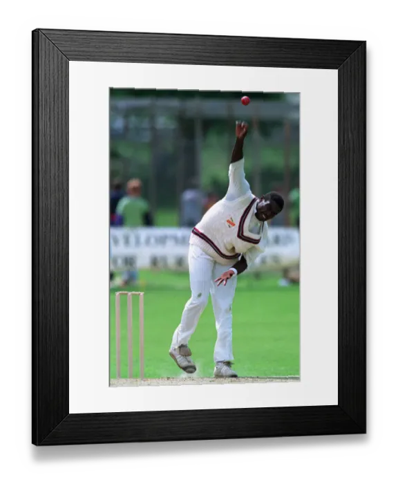 Framed Print : Patrick Patterson Framed Print : Patrick Patterson