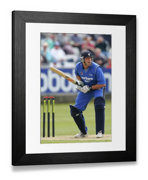 Framed Print : Nicky Peng Framed Print : Nicky Peng