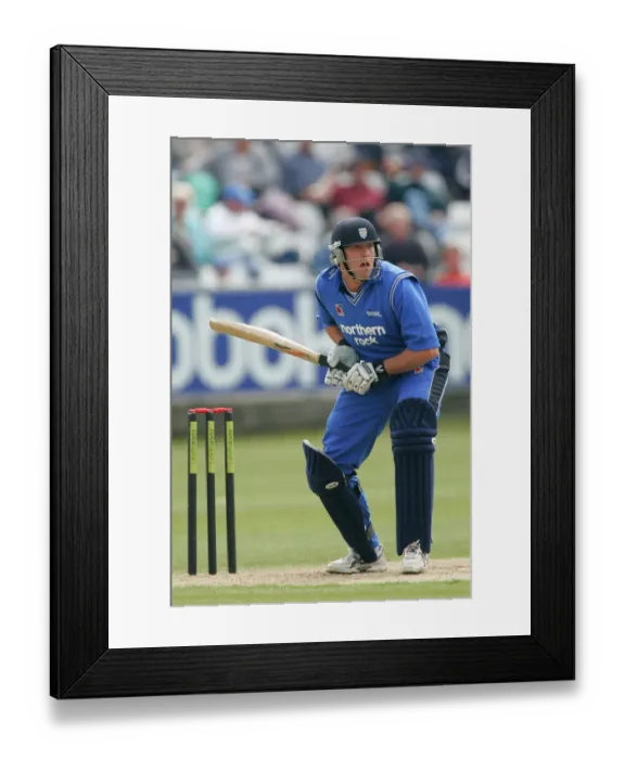 Framed Print : Nicky Peng Framed Print : Nicky Peng