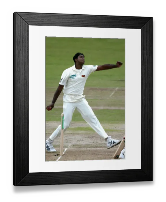 Framed Print : Dilhara Fernando Framed Print : Dilhara Fernando