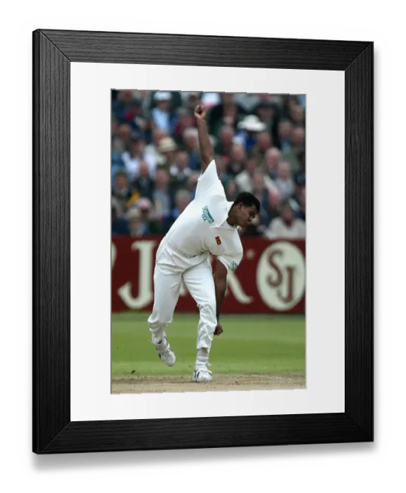 Framed Print : Dilhara Fernando Framed Print : Dilhara Fernando