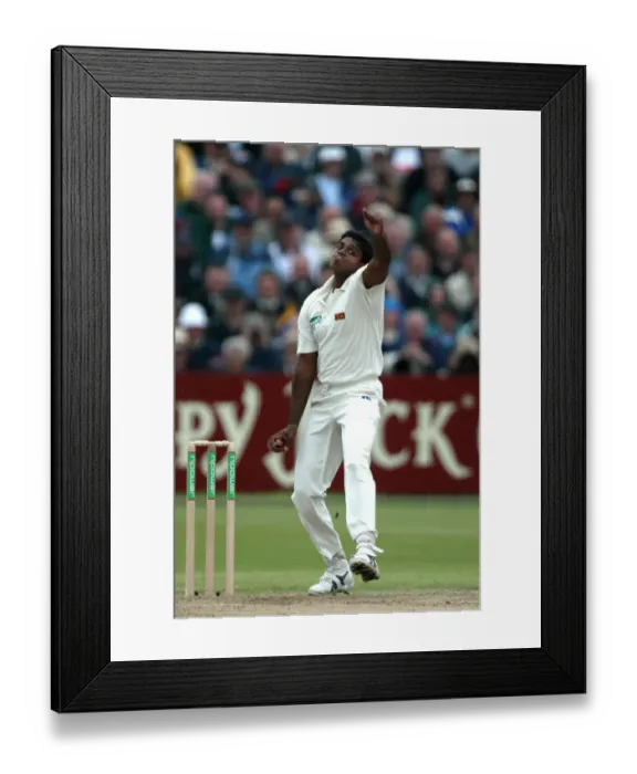 Framed Print : Dilhara Fernando Framed Print : Dilhara Fernando