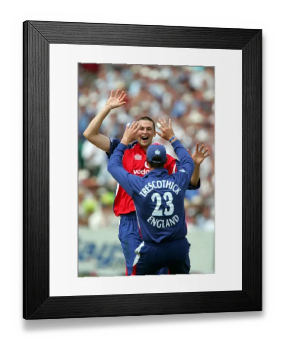 Framed Print : Steve Harmison & Marcus Trescothic Framed Print : Steve Harmison & Marcus Trescothic