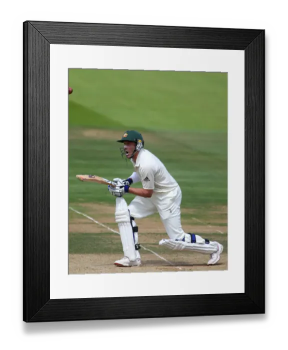 Framed Print : Michael Hussey Framed Print : Michael Hussey