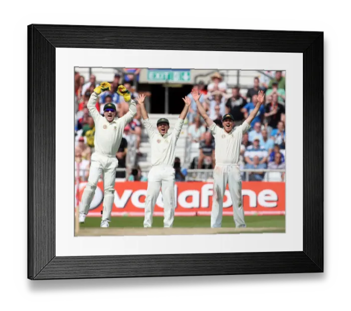 Framed Print : Ricky Ponting & Marcus North Celebrate