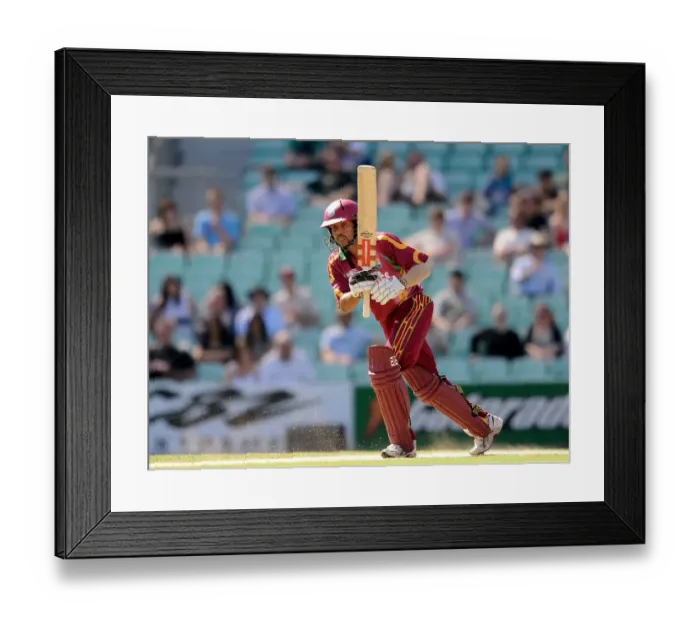 Framed Print : Ramnaresh Sarwan Framed Print : Ramnaresh Sarwan